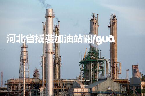 河北省撬裝加油站關(guān)鍵技術(shù)突破！化工廠拆除工程的新方法探索？